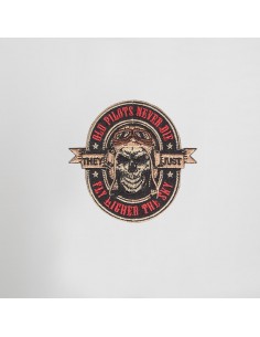 ESCUDO PILOTS