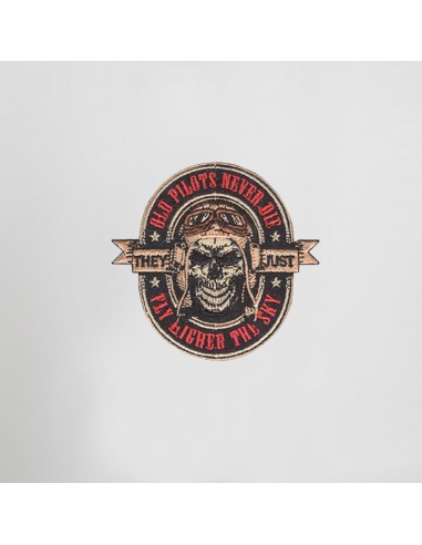 ESCUDO PILOTS